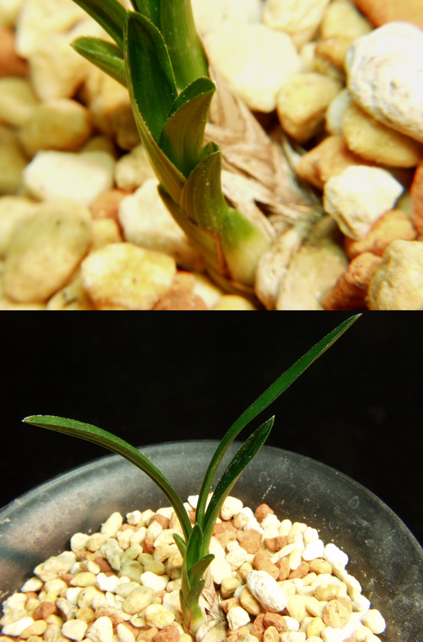 ������ ū������ �� �� �ֽ��ϴ�.