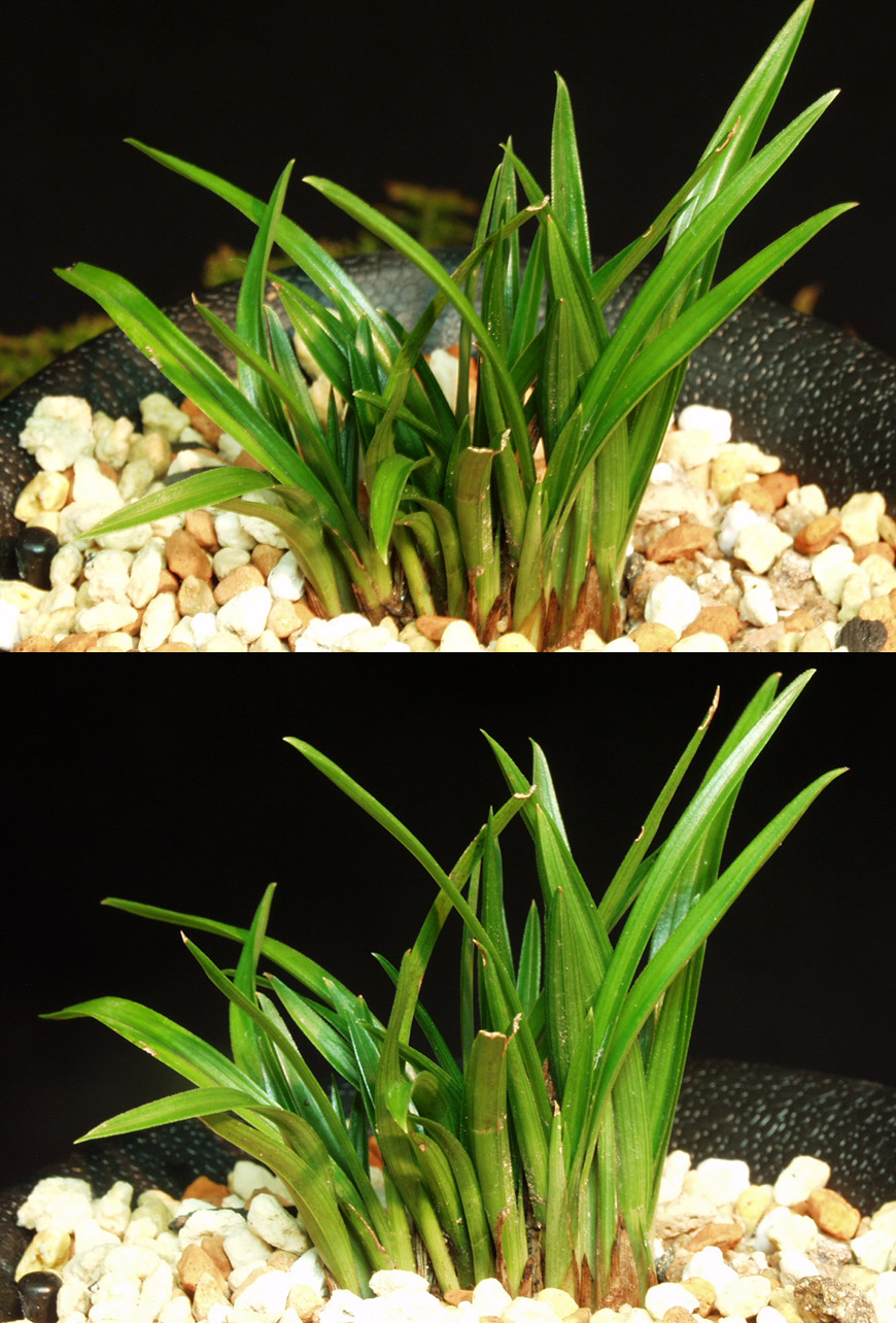 ������ ū������ �� �� �ֽ��ϴ�.