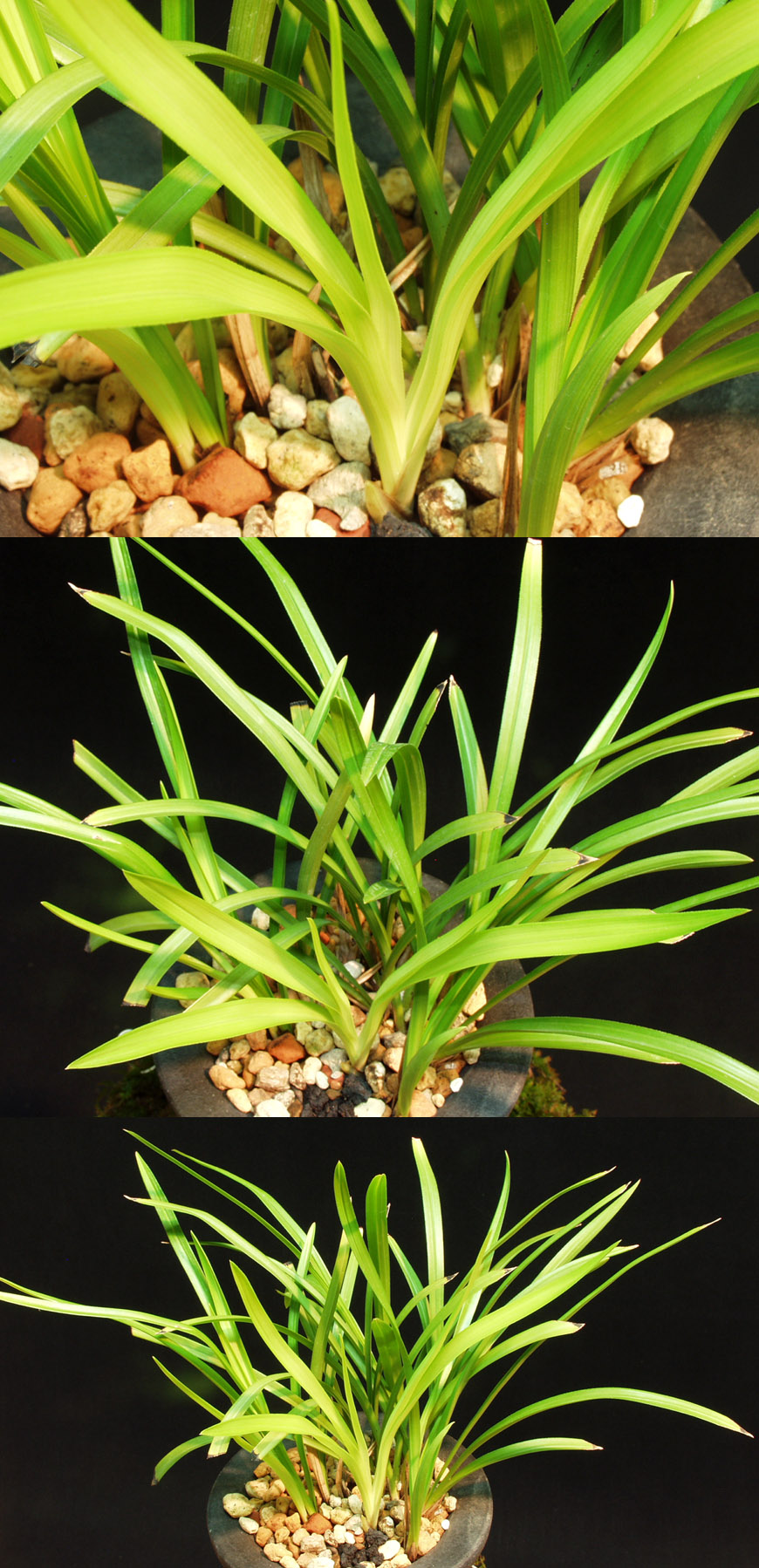 ������ ū������ �� �� �ֽ��ϴ�.