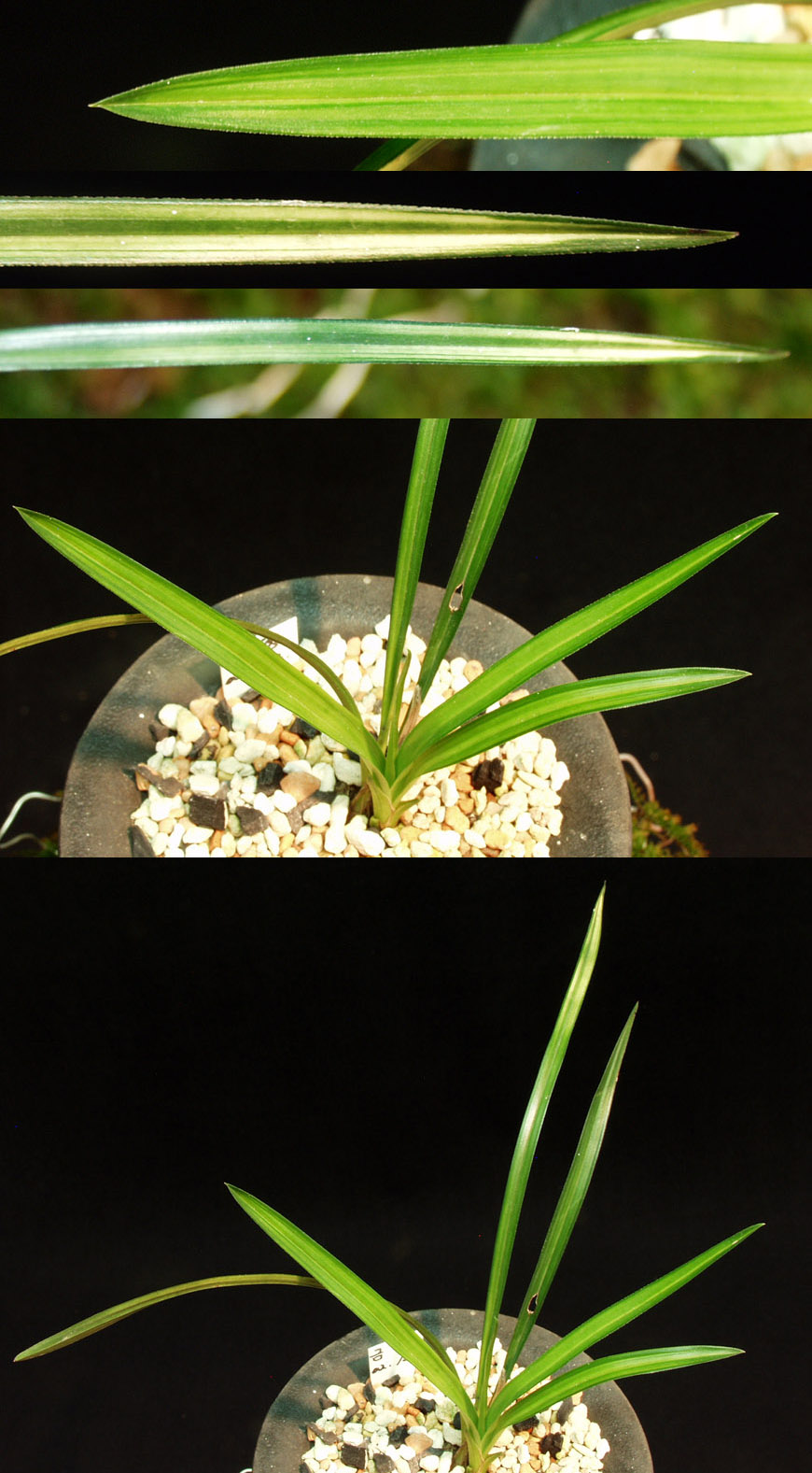 ������ ū������ �� �� �ֽ��ϴ�.