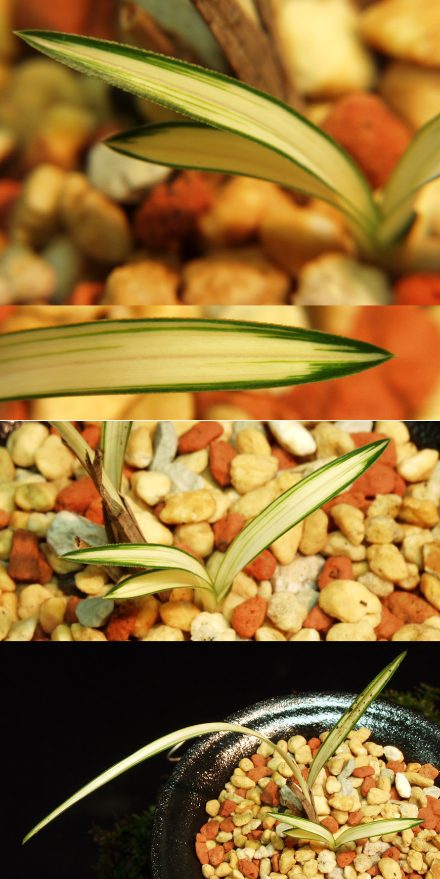 ������ ū������ �� �� �ֽ��ϴ�.