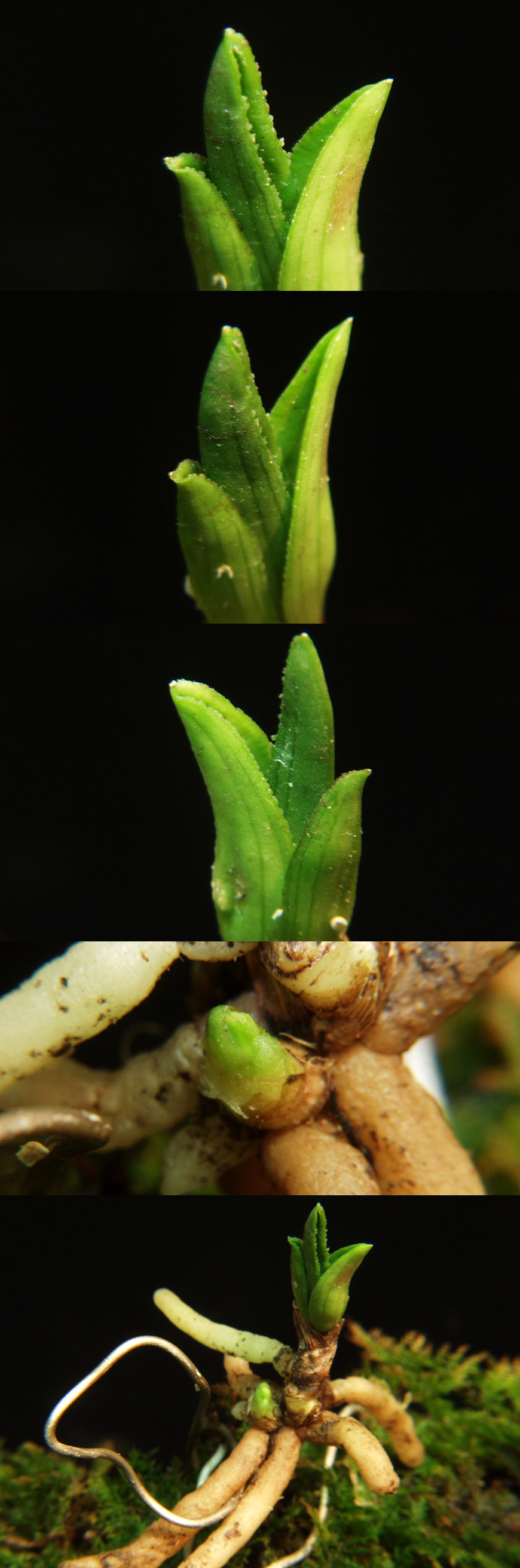 ������ ū������ �� �� �ֽ��ϴ�.