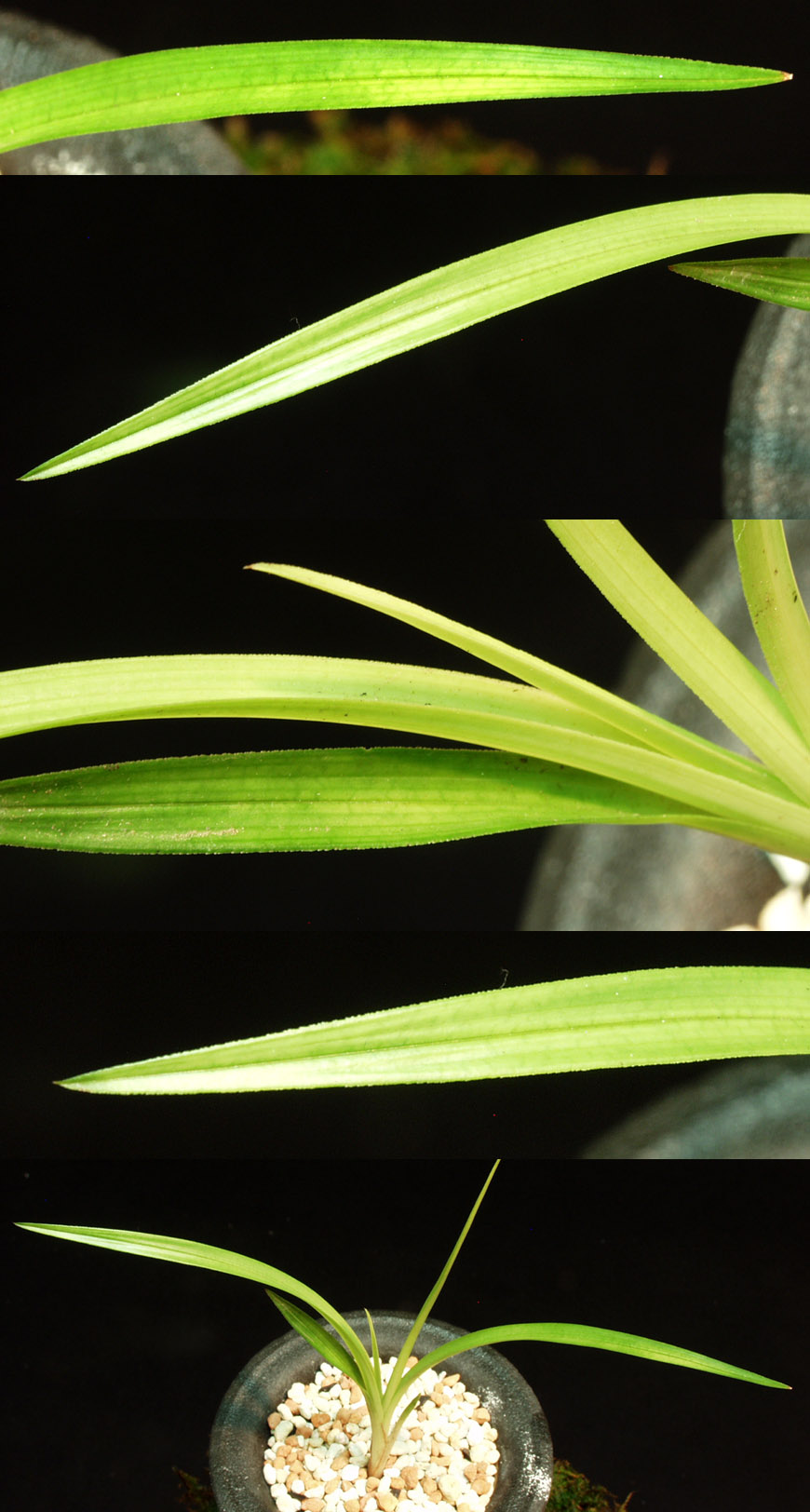 ������ ū������ �� �� �ֽ��ϴ�.