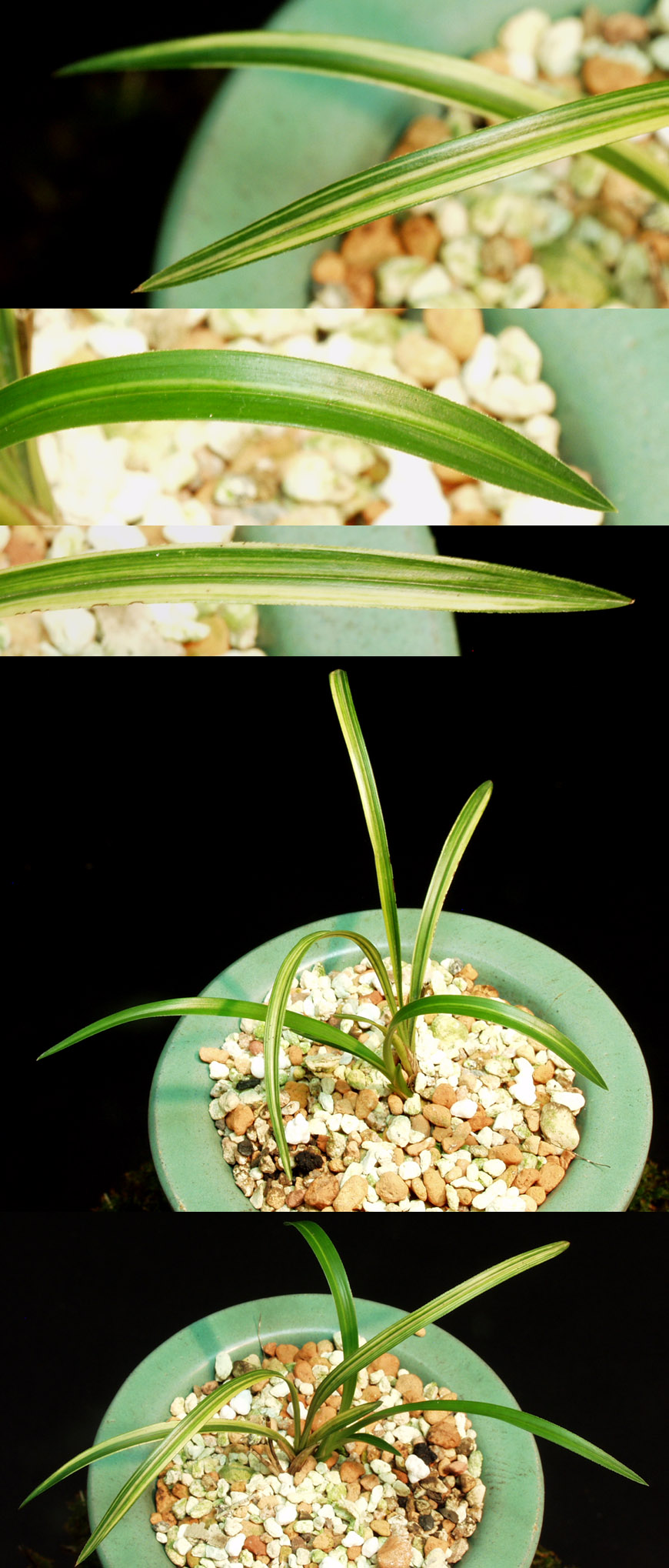 ������ ū������ �� �� �ֽ��ϴ�.