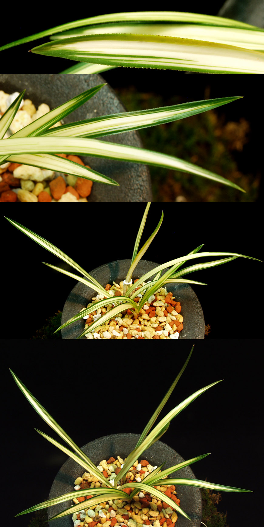 ������ ū������ �� �� �ֽ��ϴ�.