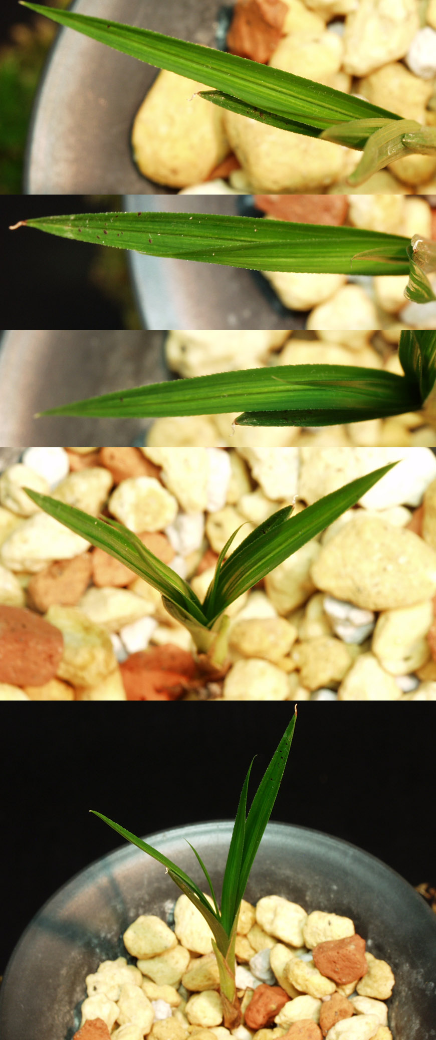 ������ ū������ �� �� �ֽ��ϴ�.