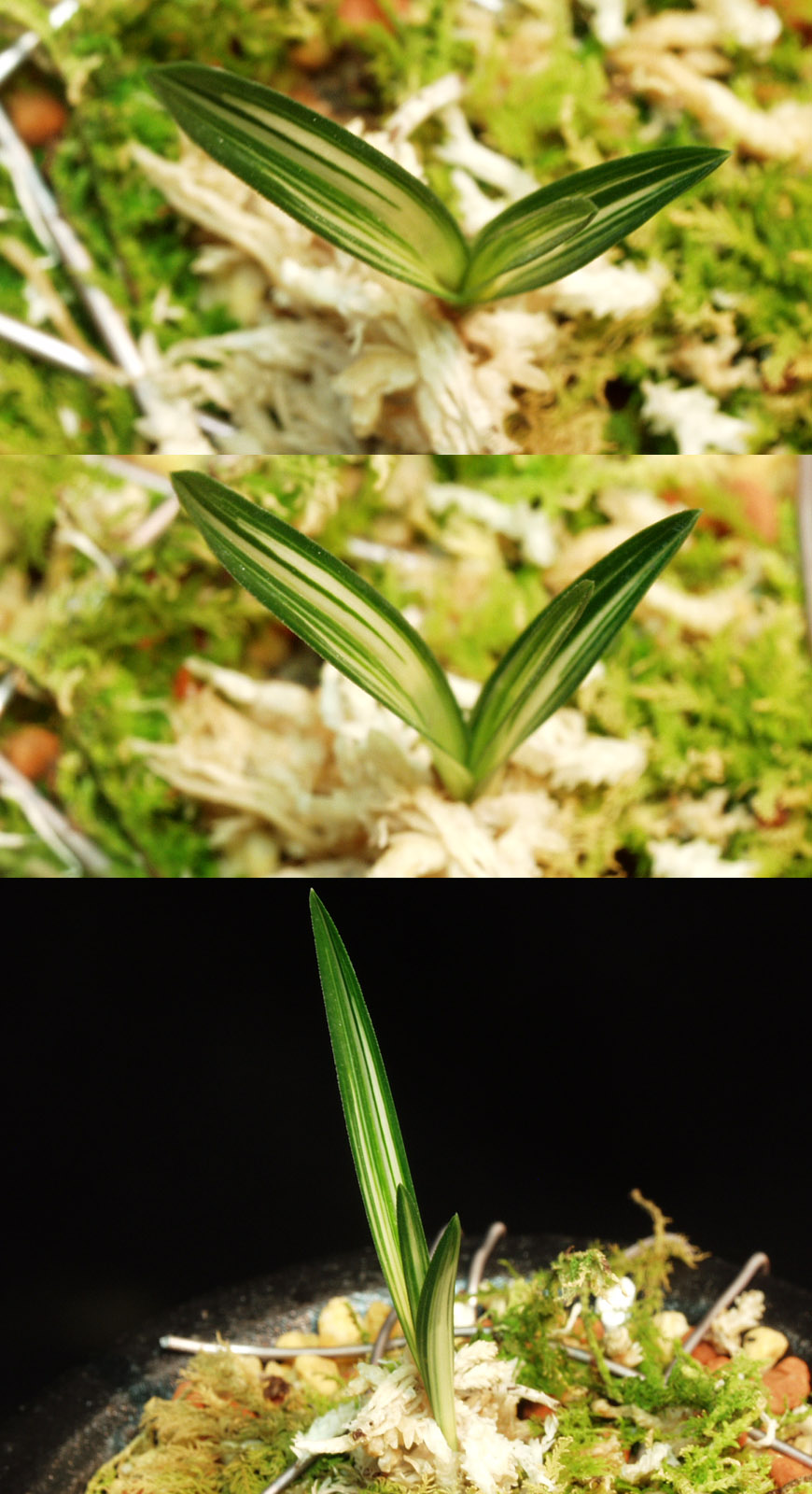 ������ ū������ �� �� �ֽ��ϴ�.