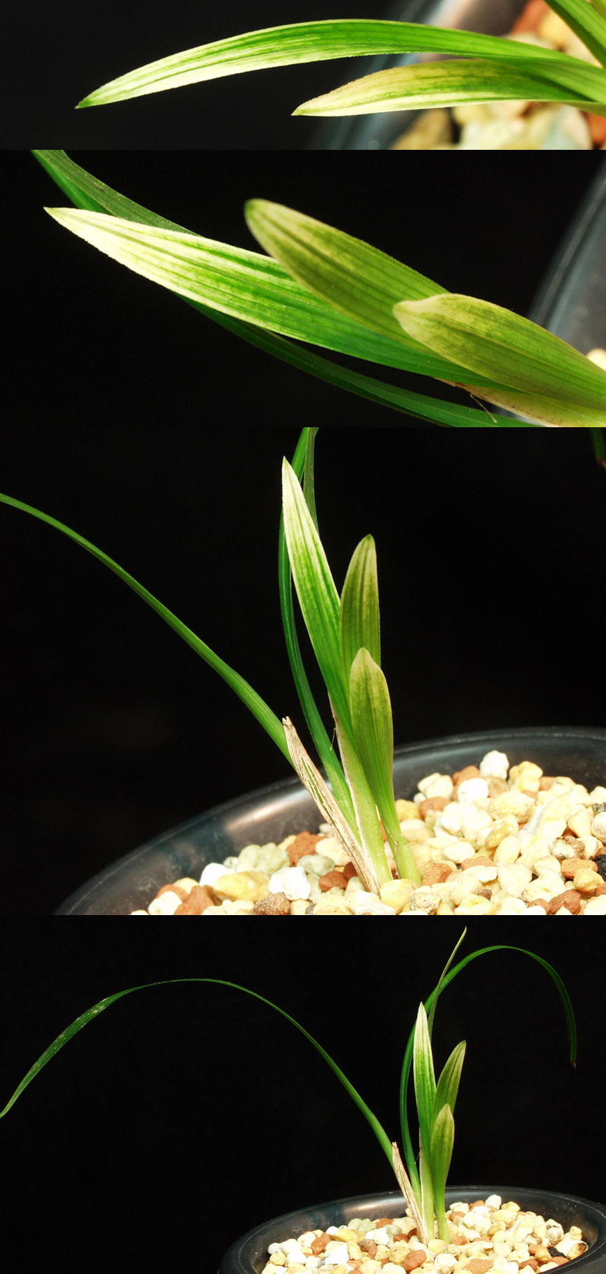 ������ ū������ �� �� �ֽ��ϴ�.