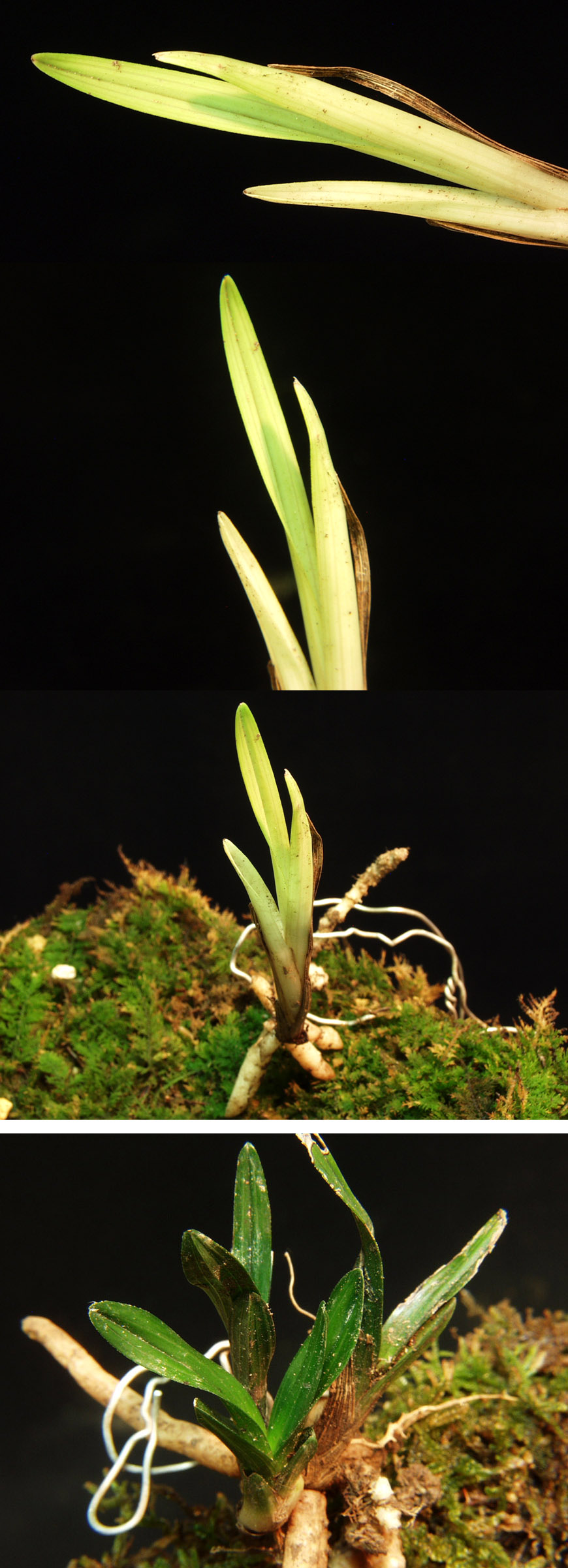 ������ ū������ �� �� �ֽ��ϴ�.