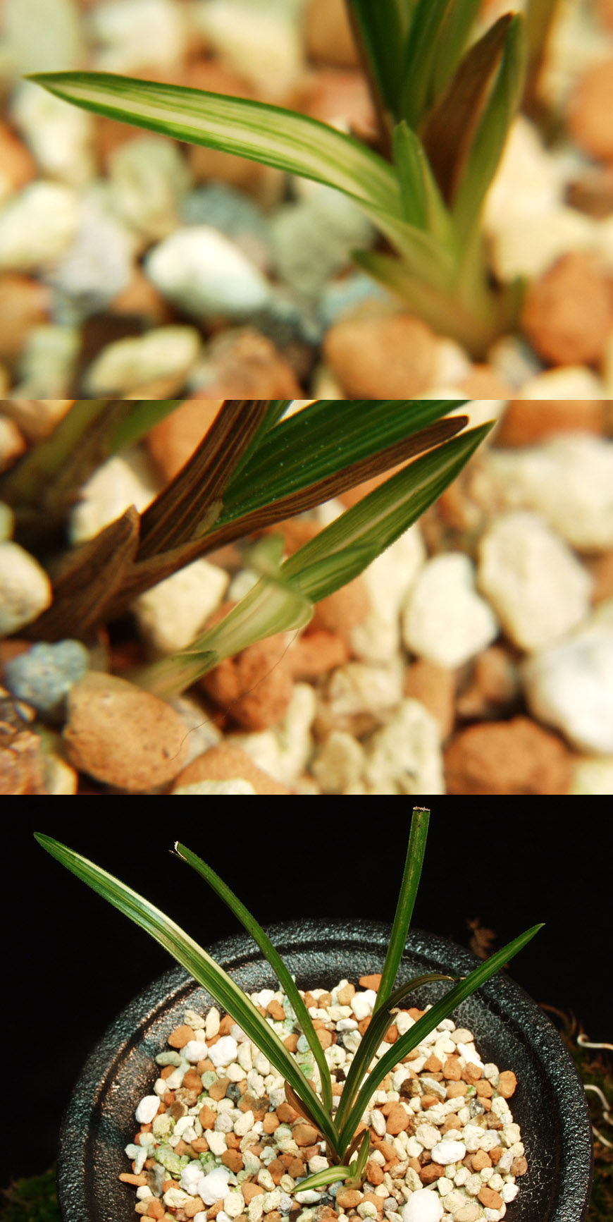 ������ ū������ �� �� �ֽ��ϴ�.