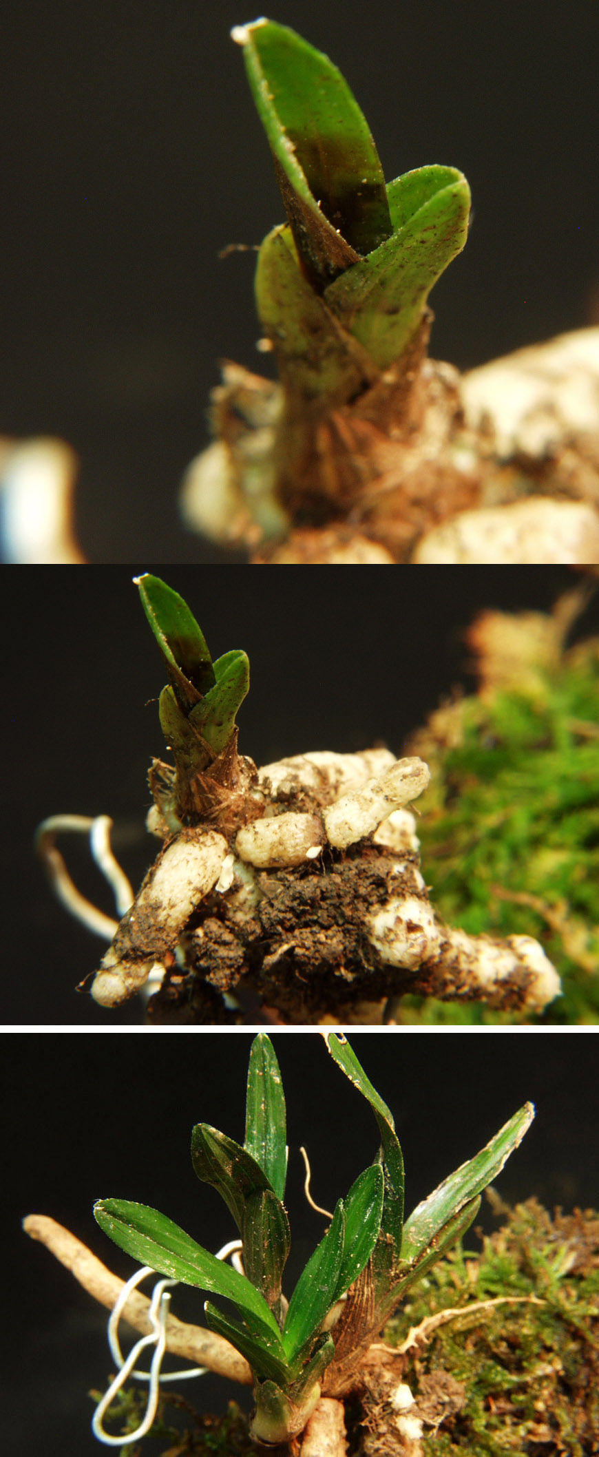 ������ ū������ �� �� �ֽ��ϴ�.