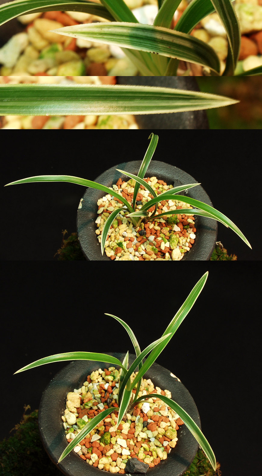 ������ ū������ �� �� �ֽ��ϴ�.