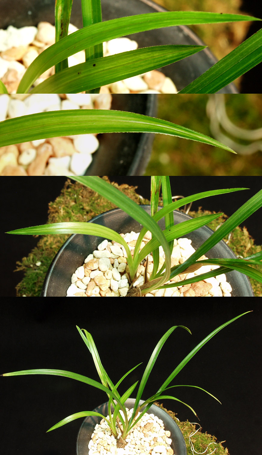 ������ ū������ �� �� �ֽ��ϴ�.