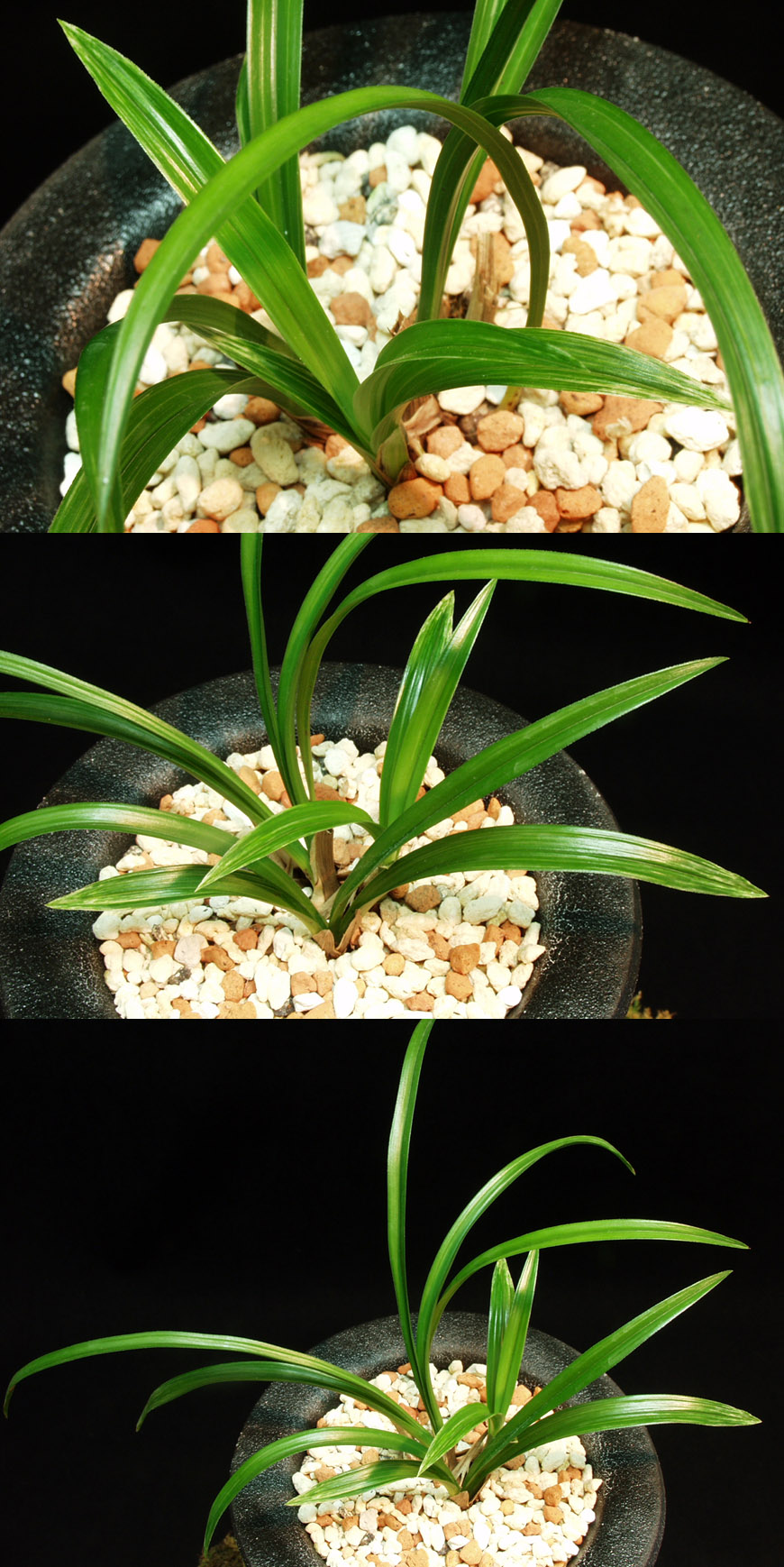 ������ ū������ �� �� �ֽ��ϴ�.