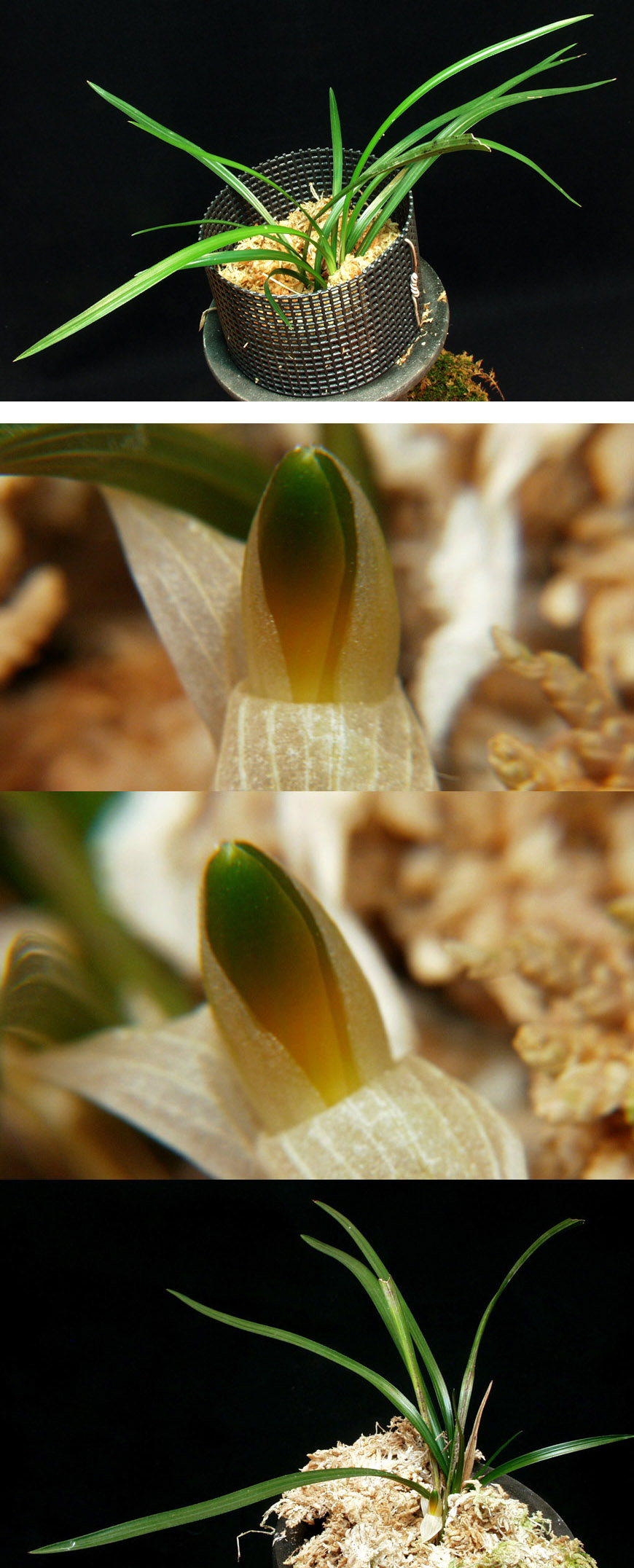 ������ ū������ �� �� �ֽ��ϴ�.