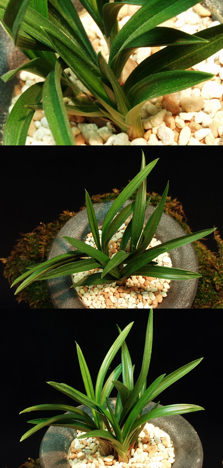 ������ ū������ �� �� �ֽ��ϴ�.