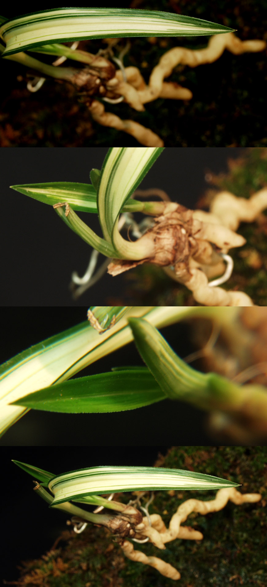 ������ ū������ �� �� �ֽ��ϴ�.