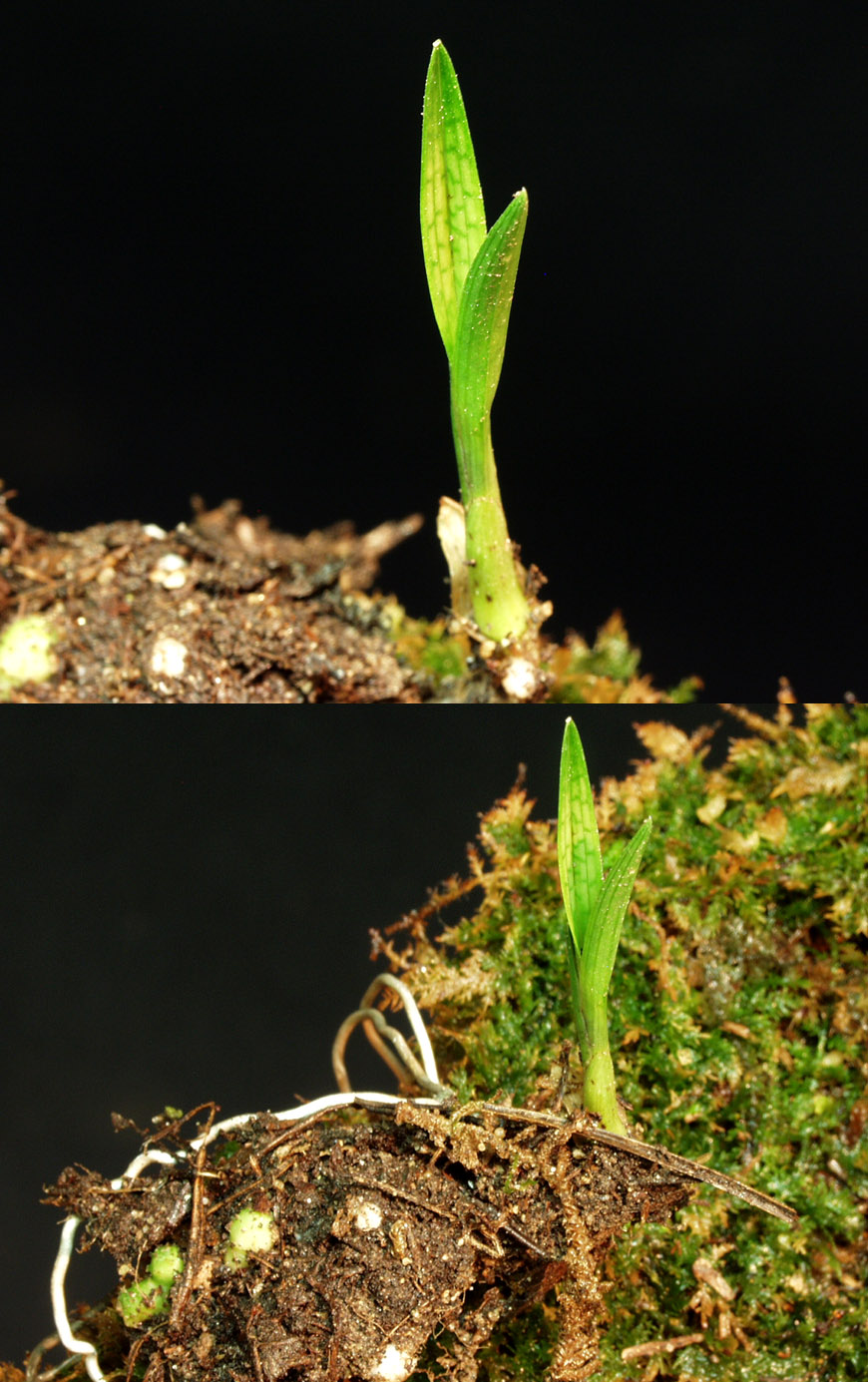 ������ ū������ �� �� �ֽ��ϴ�.