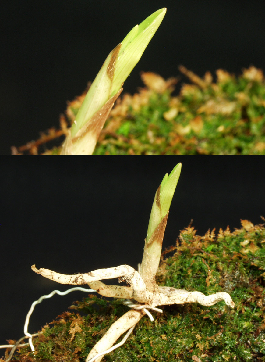 ������ ū������ �� �� �ֽ��ϴ�.