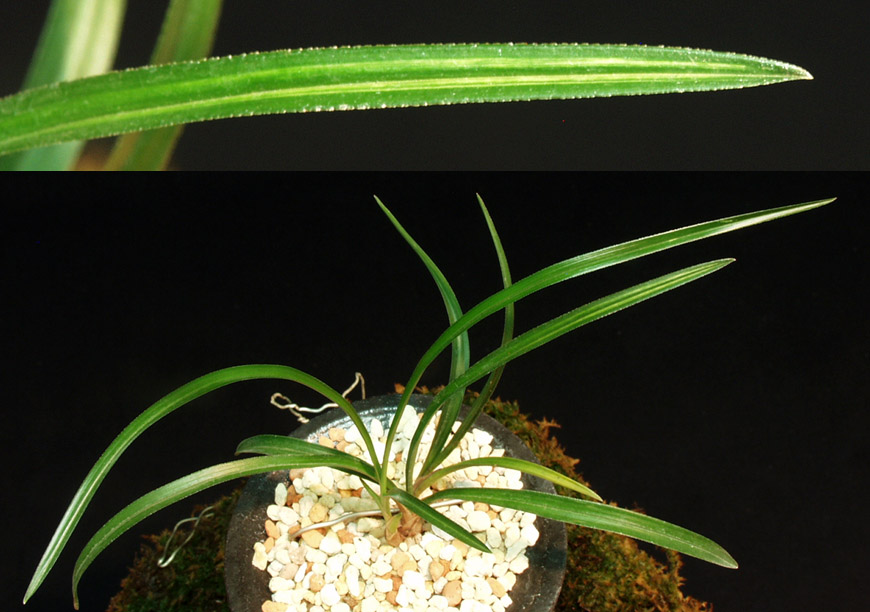 ������ ū������ �� �� �ֽ��ϴ�.