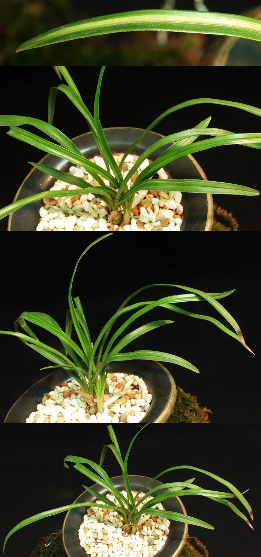 ������ ū������ �� �� �ֽ��ϴ�.