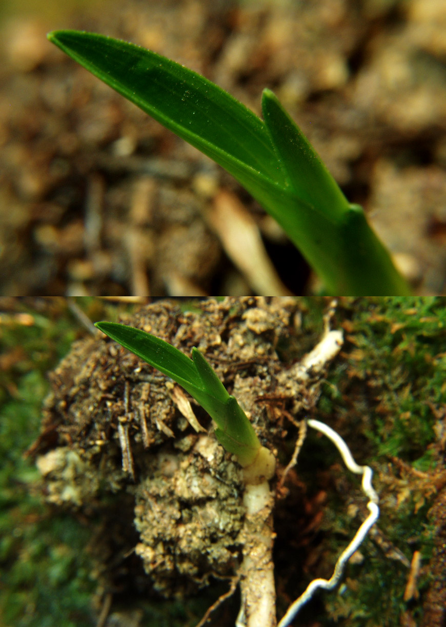 ������ ū������ �� �� �ֽ��ϴ�.