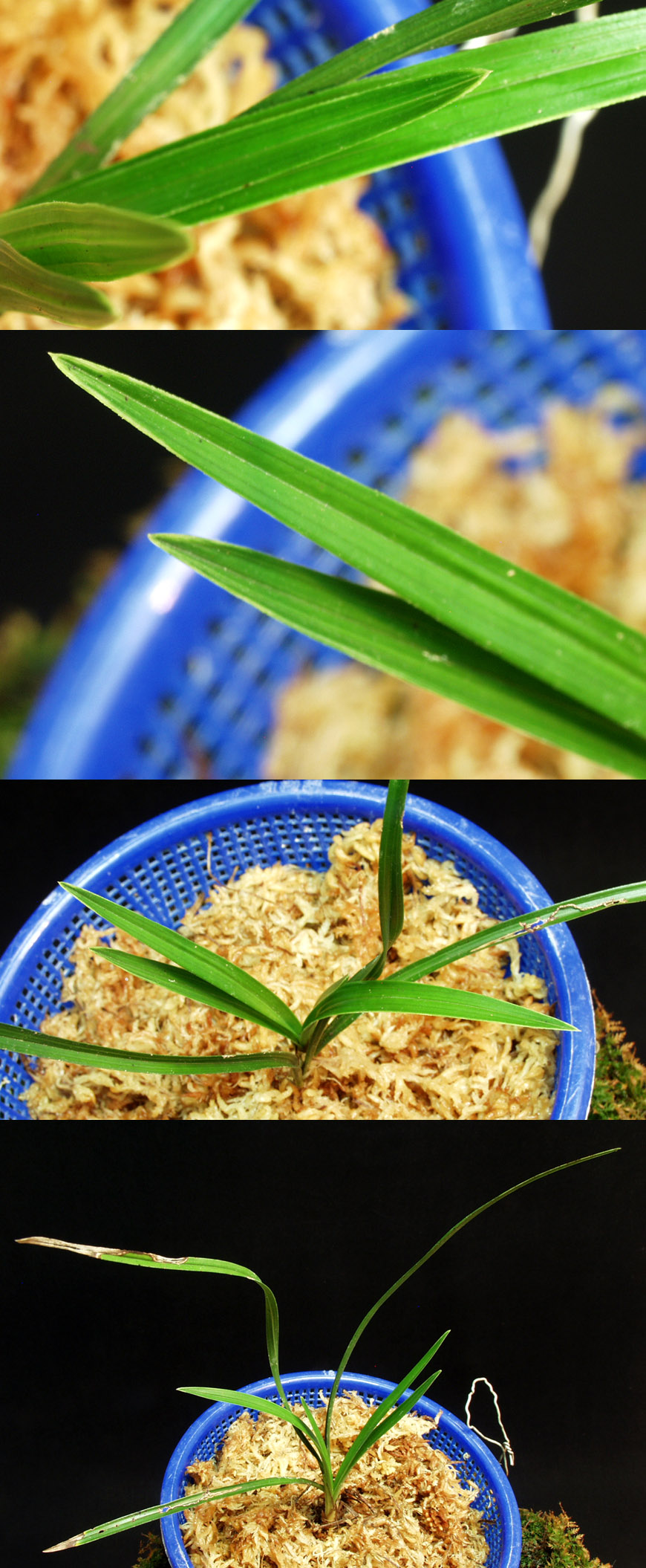 ������ ū������ �� �� �ֽ��ϴ�.