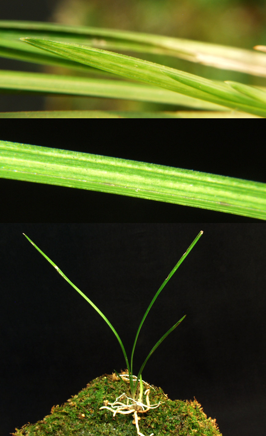 ������ ū������ �� �� �ֽ��ϴ�.