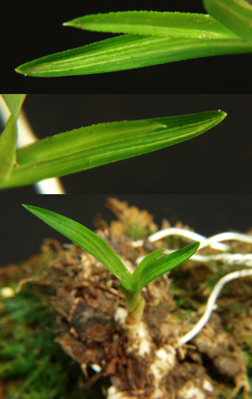 ������ ū������ �� �� �ֽ��ϴ�.