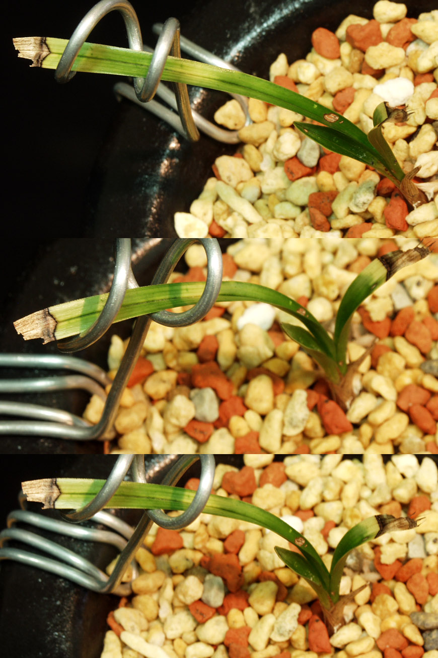 ������ ū������ �� �� �ֽ��ϴ�.