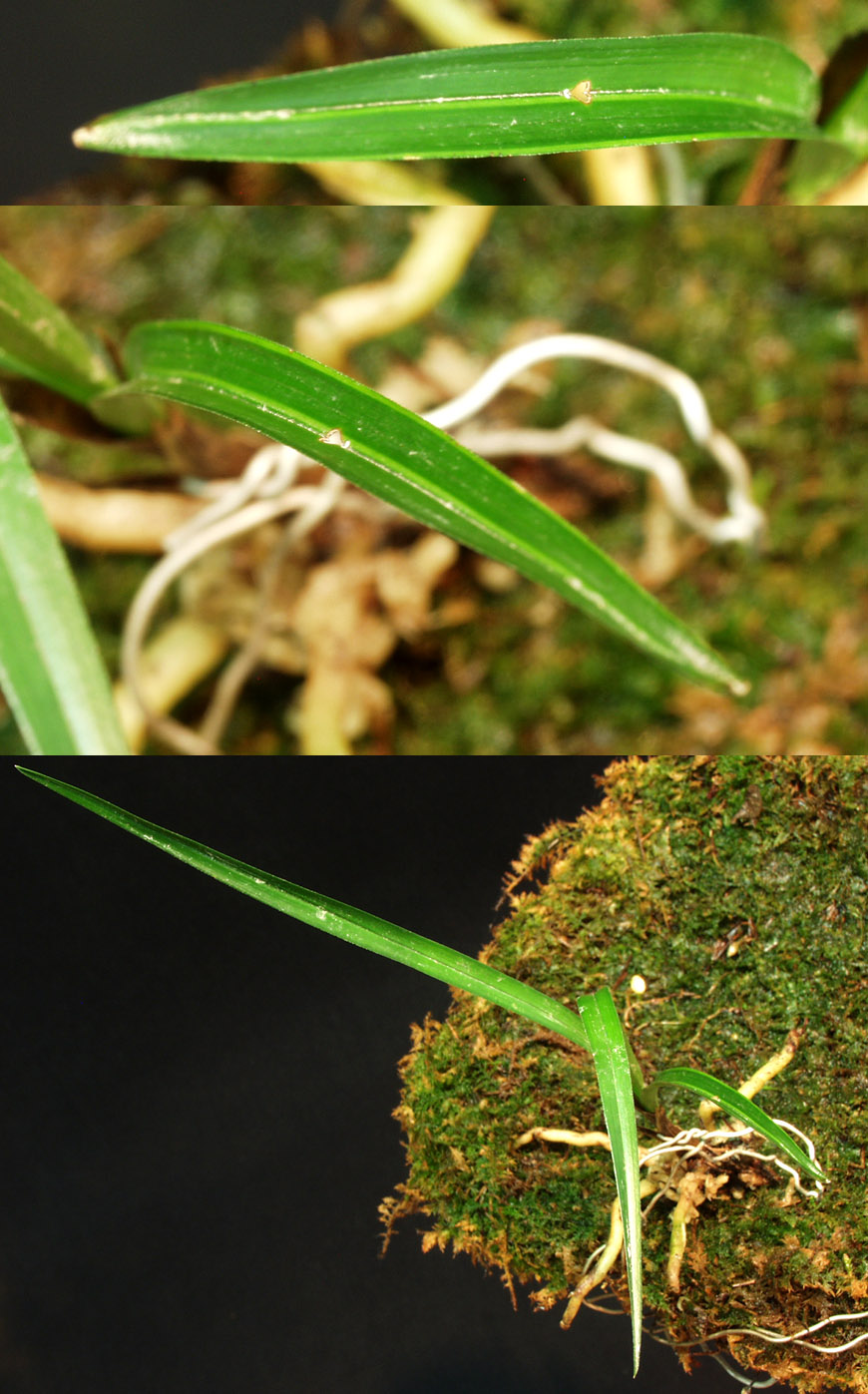 ������ ū������ �� �� �ֽ��ϴ�.