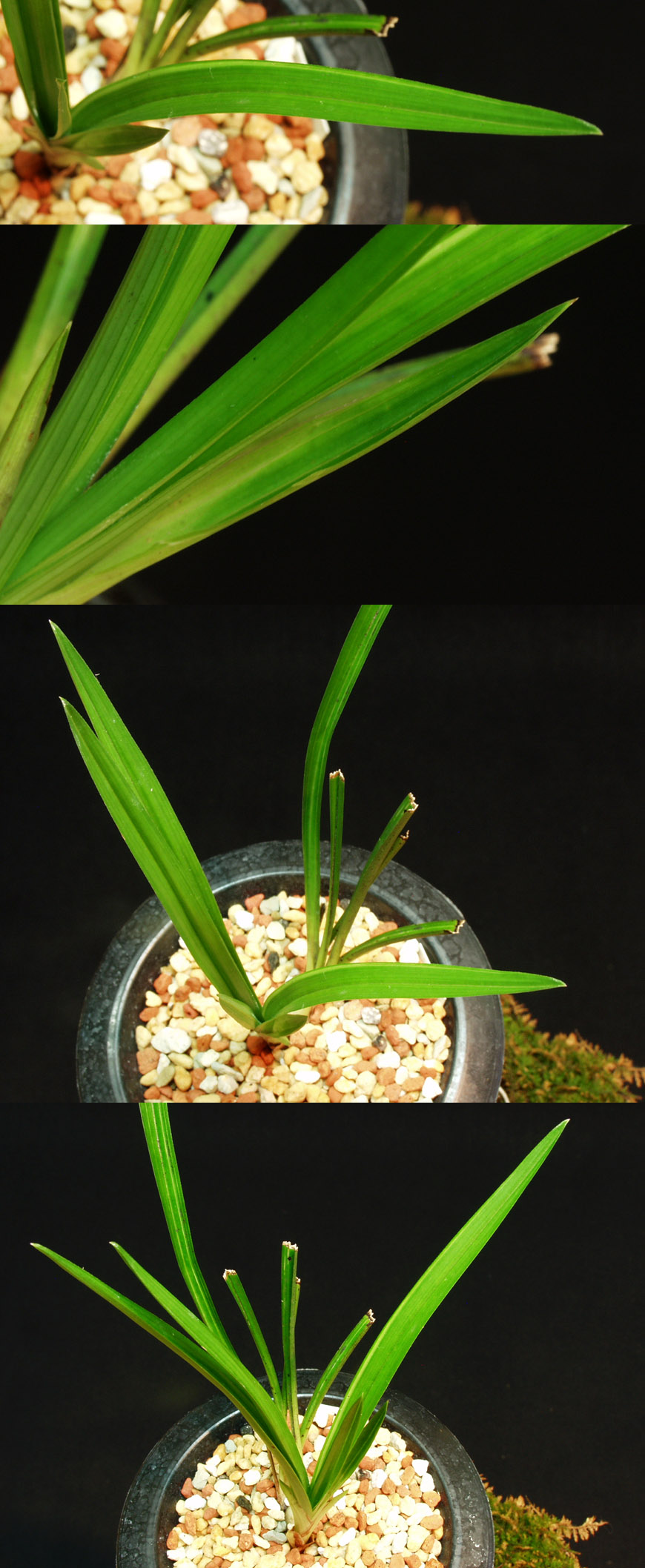 ������ ū������ �� �� �ֽ��ϴ�.