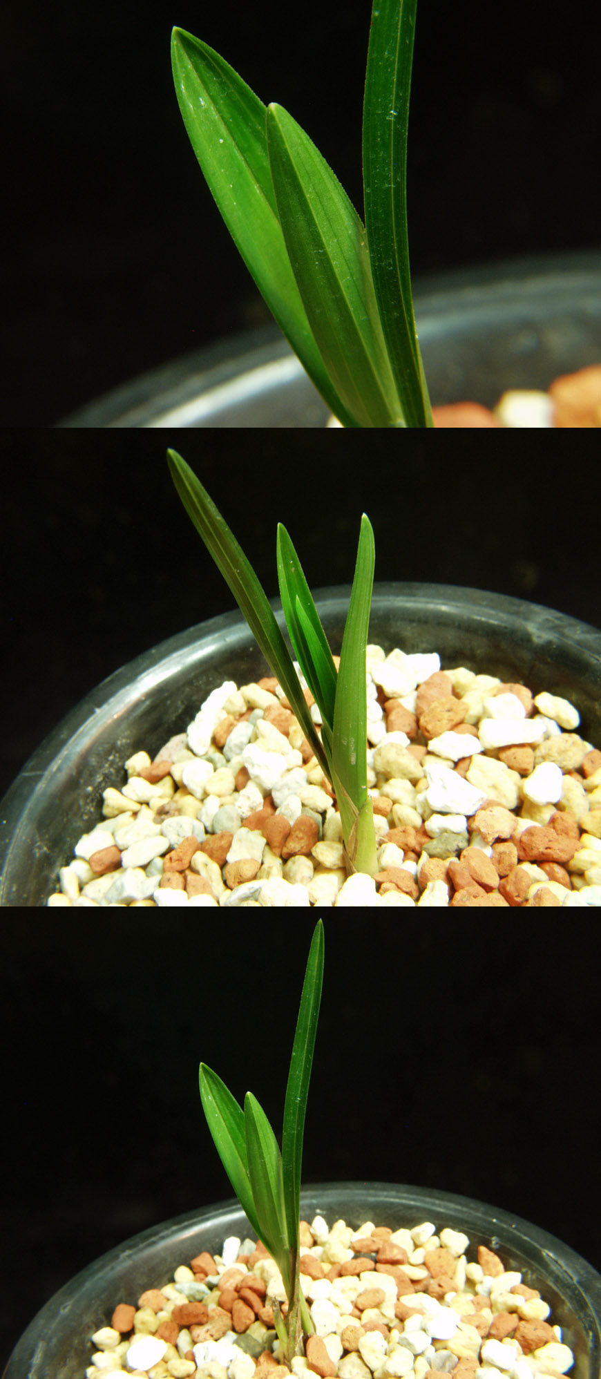 ������ ū������ �� �� �ֽ��ϴ�.