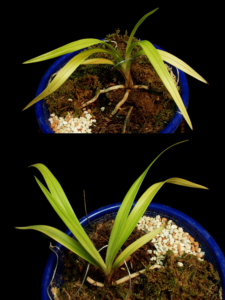 ������ ū������ �� �� �ֽ��ϴ�.