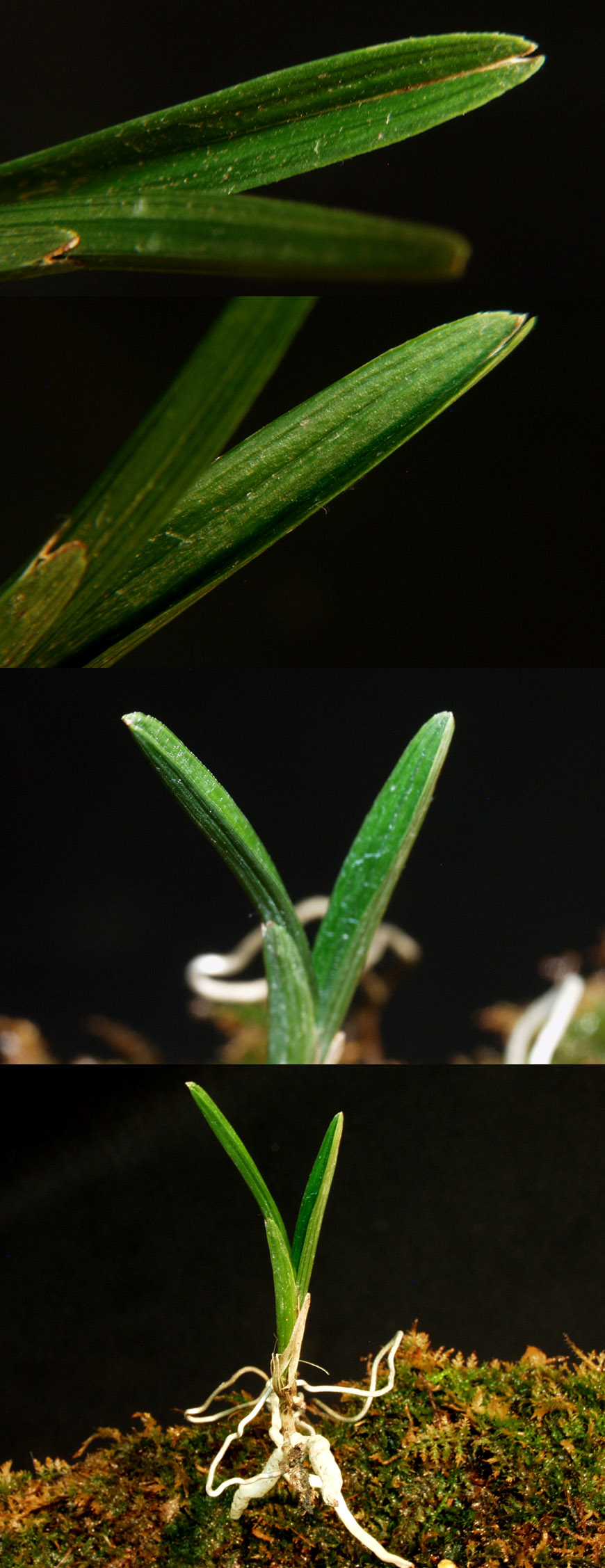 ������ ū������ �� �� �ֽ��ϴ�.