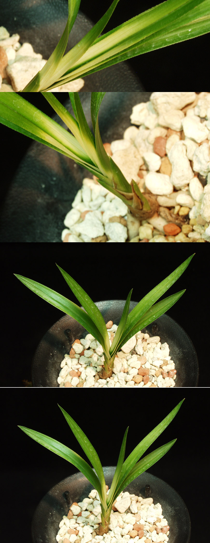 ������ ū������ �� �� �ֽ��ϴ�.