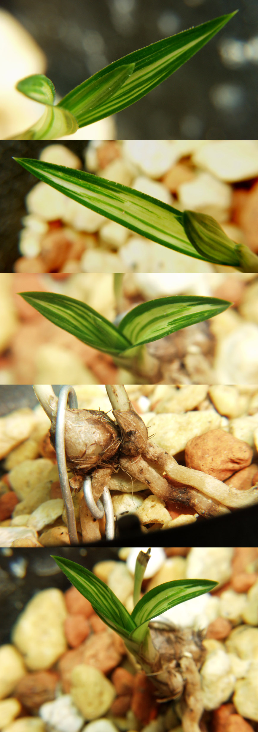 ������ ū������ �� �� �ֽ��ϴ�.