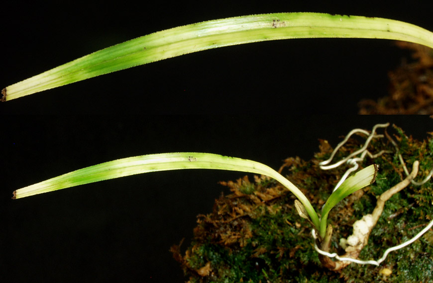 ������ ū������ �� �� �ֽ��ϴ�.