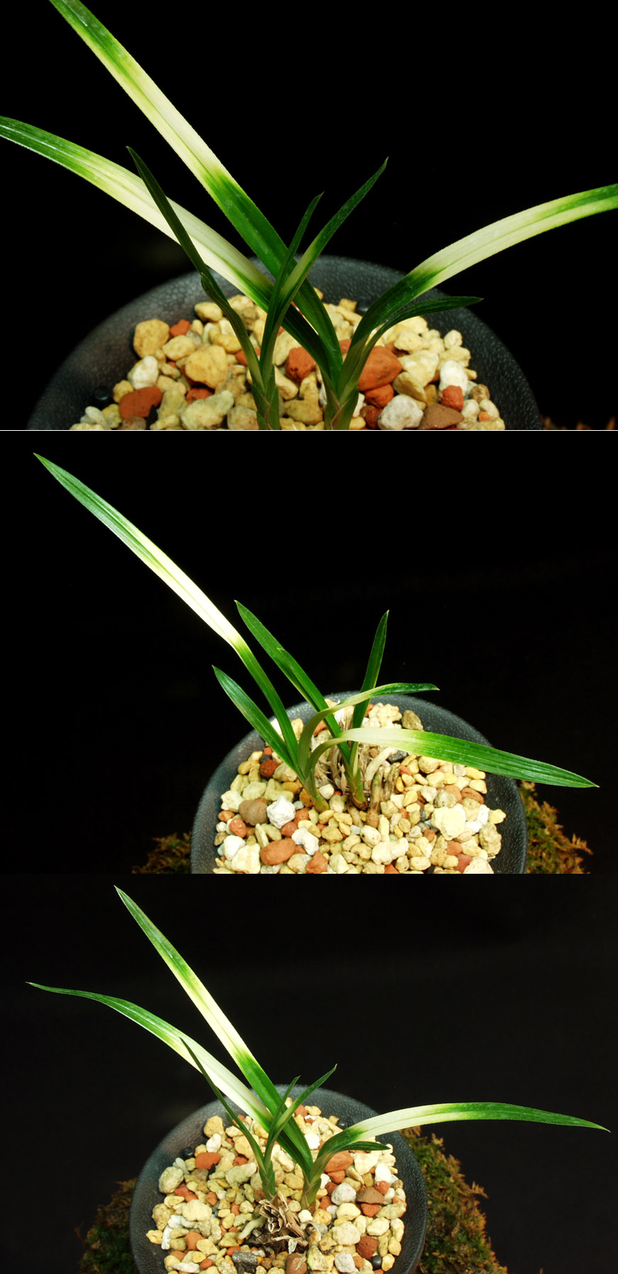 ������ ū������ �� �� �ֽ��ϴ�.