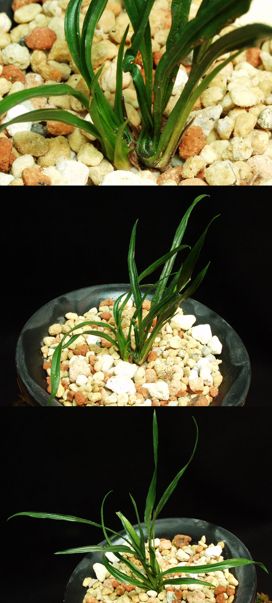 ������ ū������ �� �� �ֽ��ϴ�.