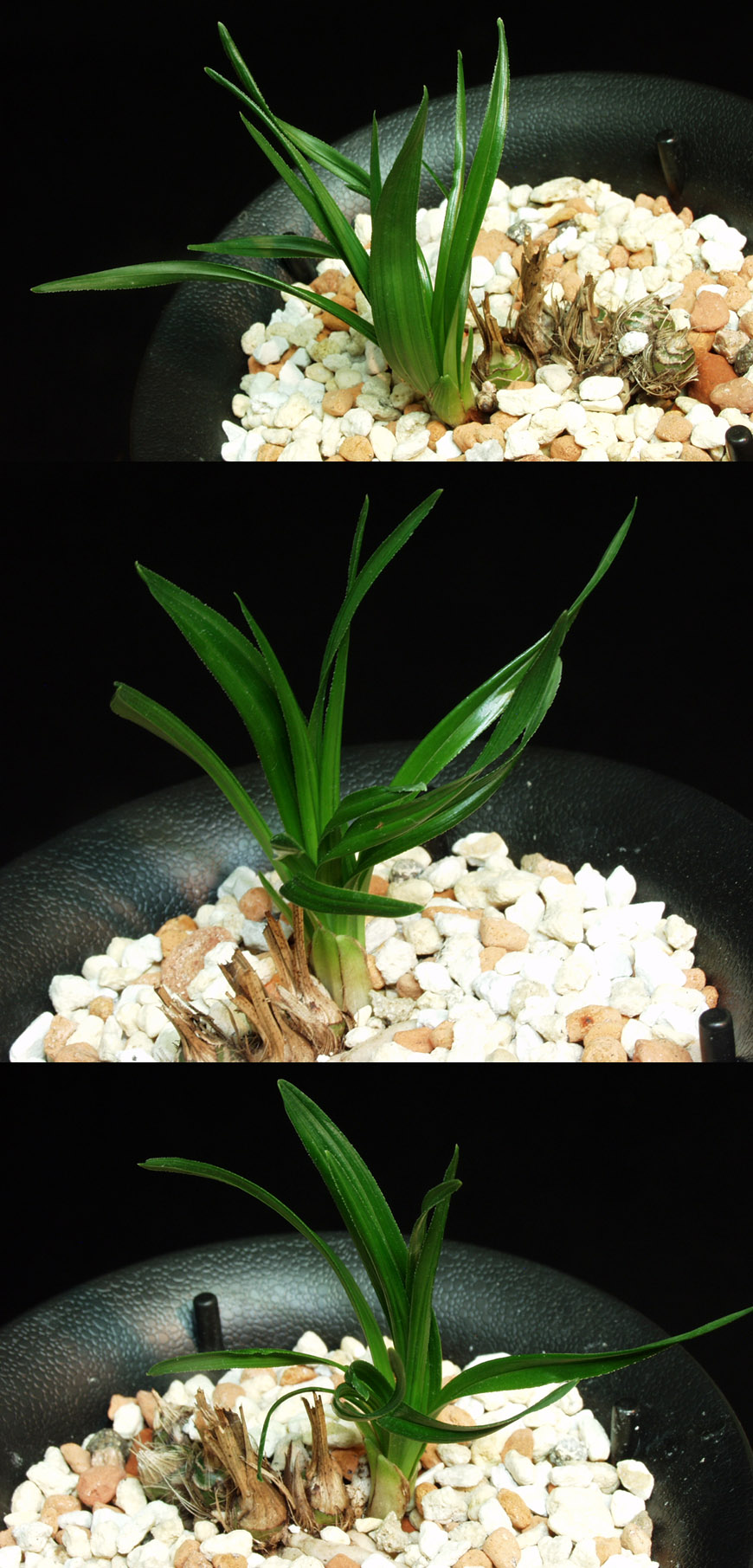 ������ ū������ �� �� �ֽ��ϴ�.