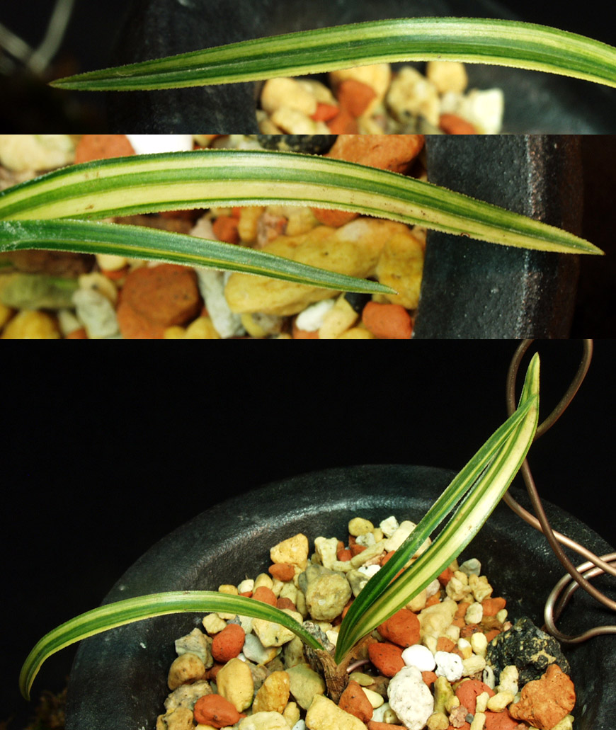 ������ ū������ �� �� �ֽ��ϴ�.