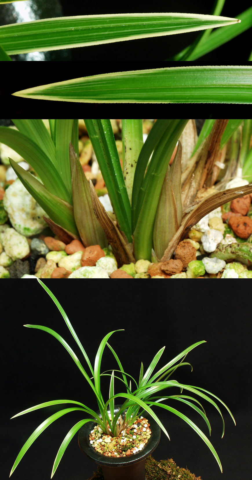 ������ ū������ �� �� �ֽ��ϴ�.