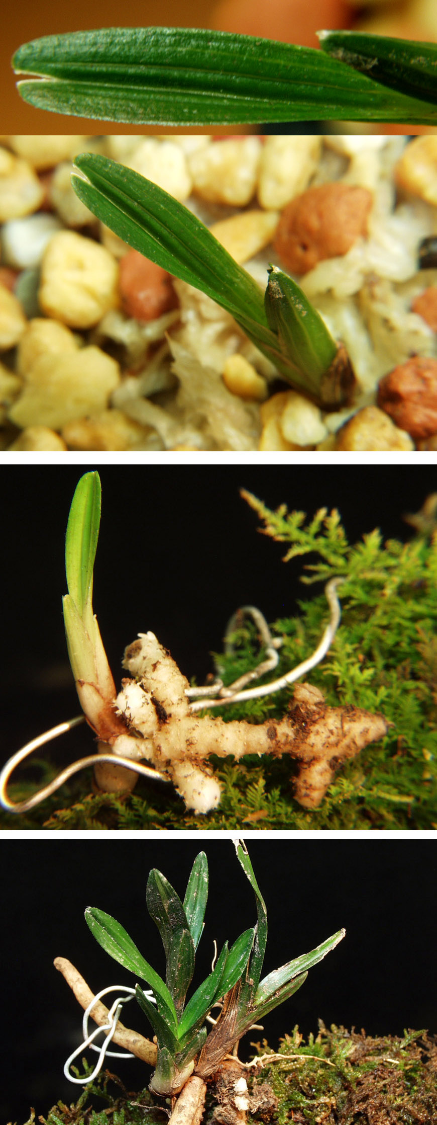 ������ ū������ �� �� �ֽ��ϴ�.