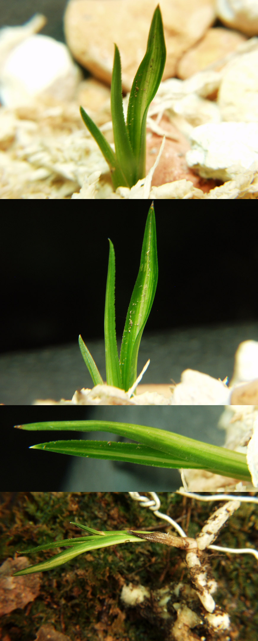 ������ ū������ �� �� �ֽ��ϴ�.