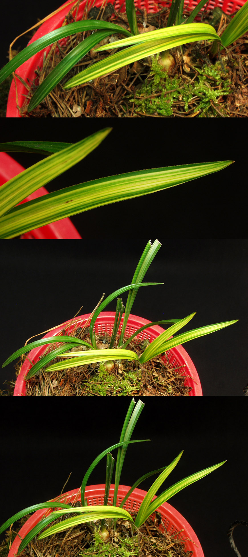 ������ ū������ �� �� �ֽ��ϴ�.