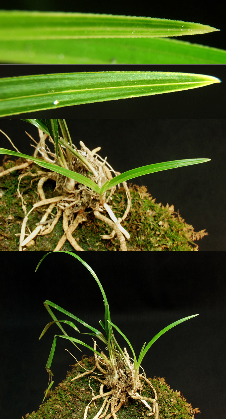 ������ ū������ �� �� �ֽ��ϴ�.