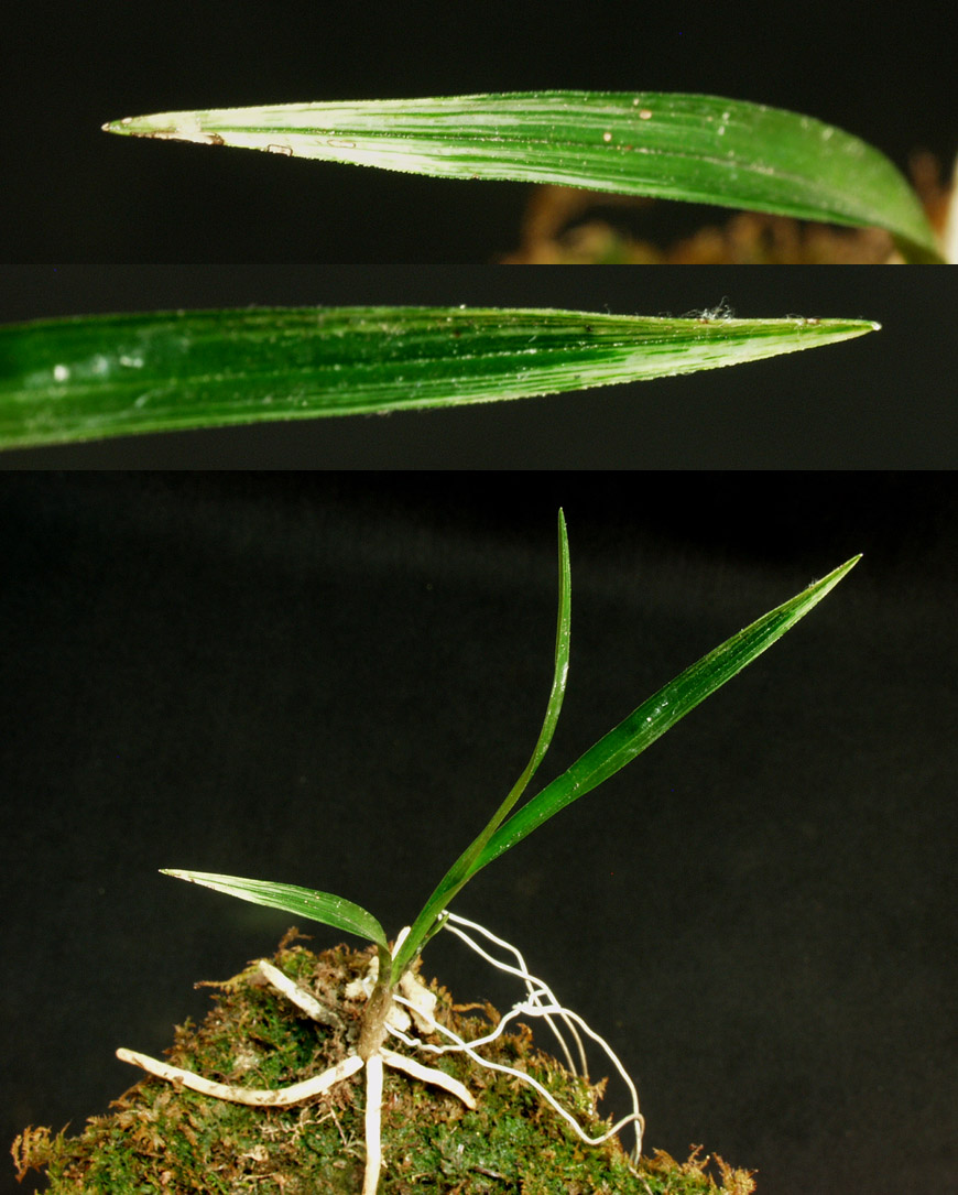 ������ ū������ �� �� �ֽ��ϴ�.