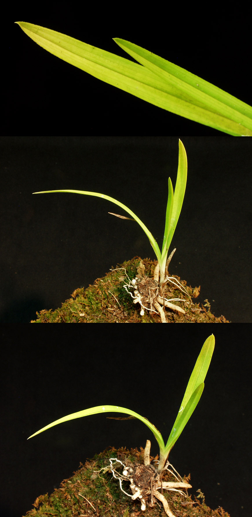 ������ ū������ �� �� �ֽ��ϴ�.