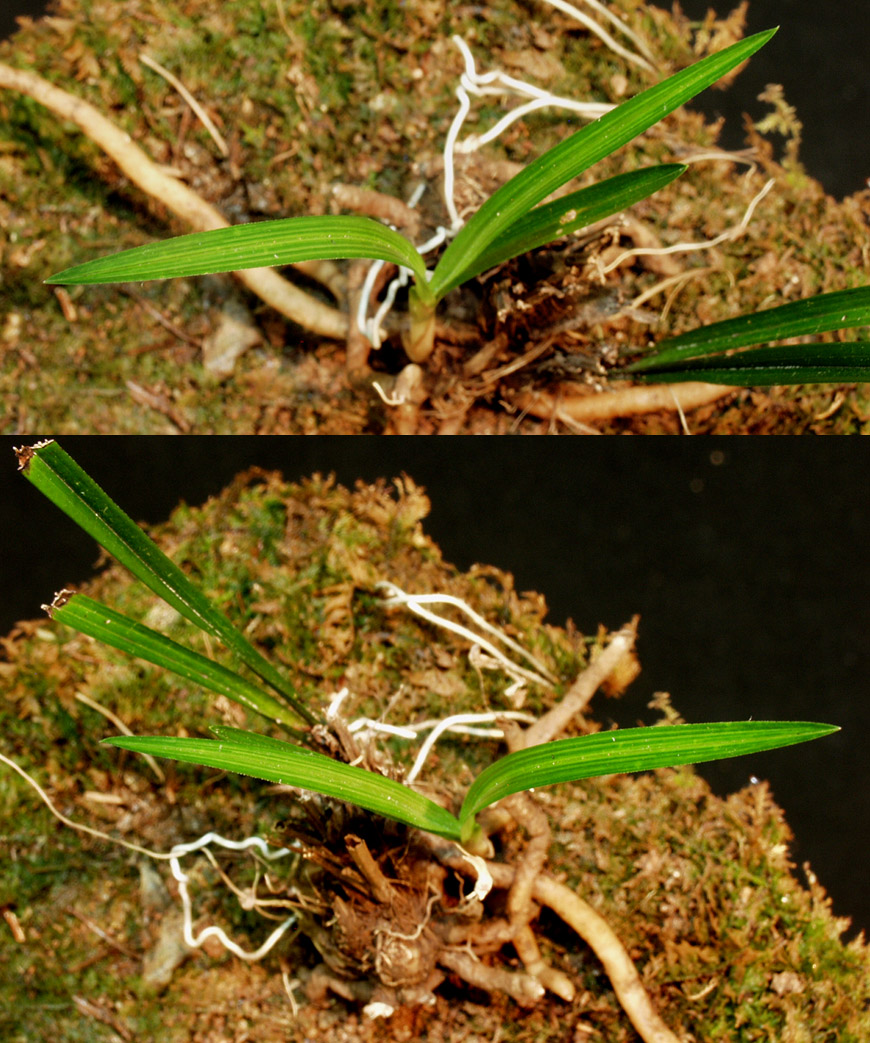 ������ ū������ �� �� �ֽ��ϴ�.